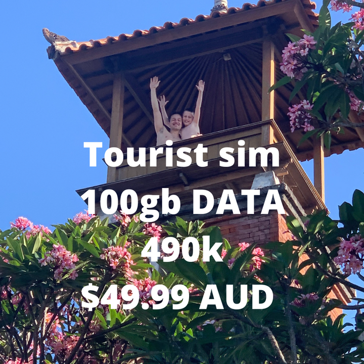 Tourist sim 100gb sim Big data