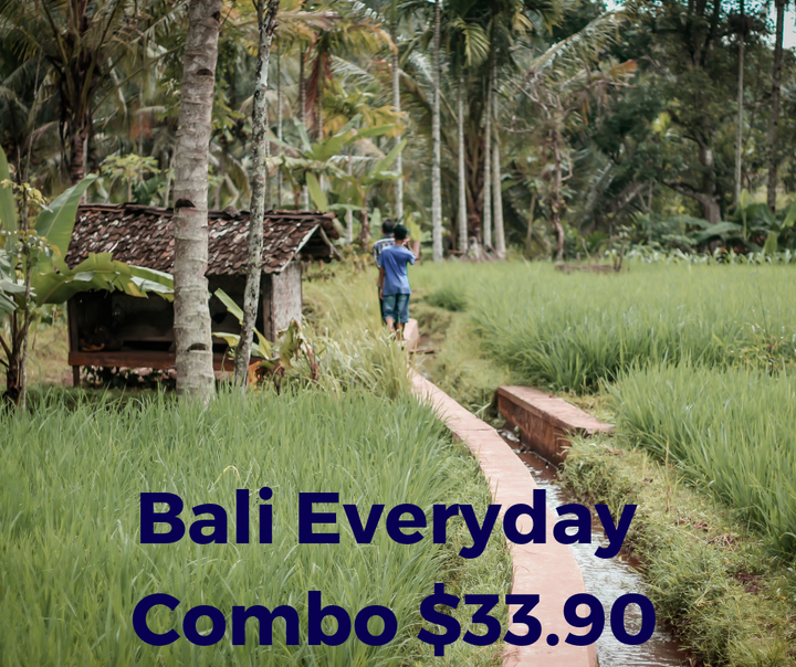 Bali Everyday Voice & Data Combo 10GB data